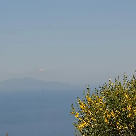 Bed & Breakfast Le Ginestre Di Capri Bb & House Anacapri (Isola di Capri)