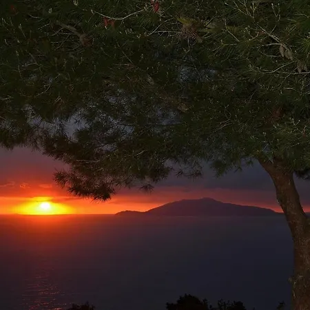Le Ginestre Di Capri Bb & House 2*