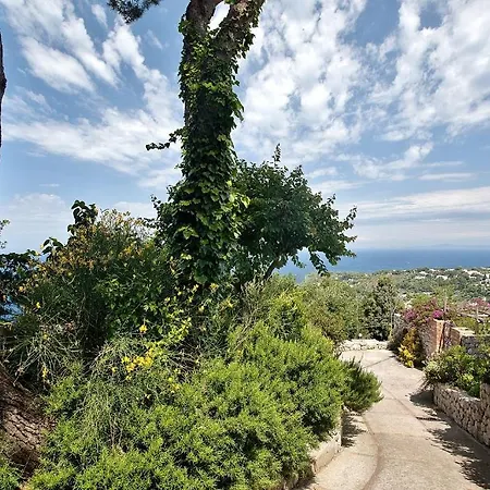 Le Ginestre Di Capri Bb & House 2*
