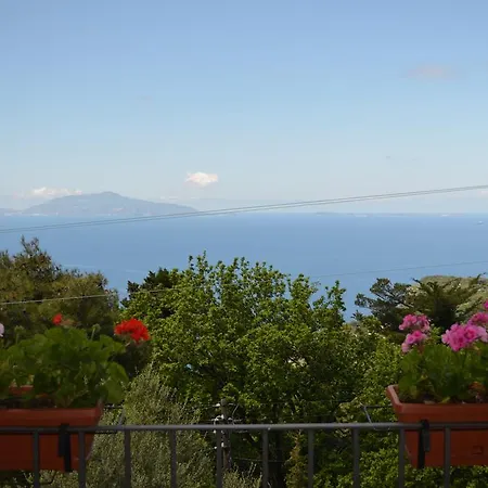 Le Ginestre Di Capri Bb & House Bed & Breakfast