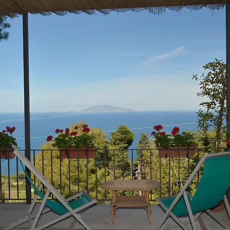 Le Ginestre Di Capri Bb & House Bed & Breakfast Anacapri (Isola di Capri)