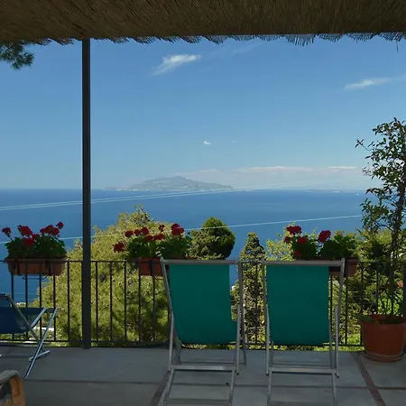 Le Ginestre Di Capri Bb & House