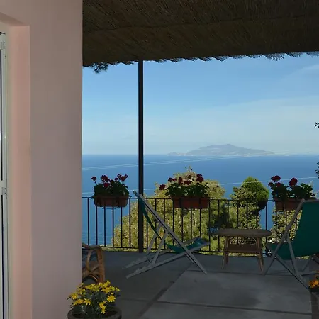 Le Ginestre Di Capri Bb & House