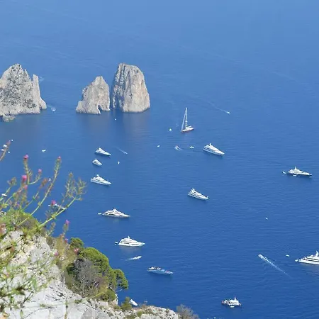 Bed & Breakfast Le Ginestre Di Capri Bb & House Anacapri (Isola di Capri)