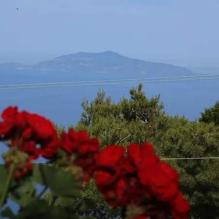 Bed & Breakfast Le Ginestre Di Capri Bb & House Anacapri (Isola di Capri)