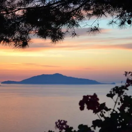 Le Ginestre Di Capri Bb & House